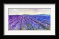 Lavender VI Framed Print
