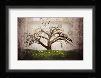 Cottonwood Tree Part 3 Fine Art Print