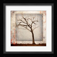 Cottonwood Tree Part 5 Fine Art Print