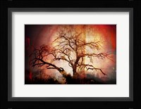 Cottonwood Tree Part 10 Fine Art Print