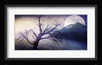 Cottonwood Tree Part 11 Fine Art Print