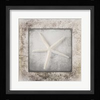 Stone Star 3 Fine Art Print