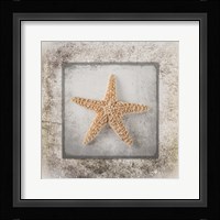 Stone Star Framed Print