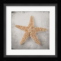 Vintage Natuical Set 3 Framed Print