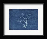 Gypsy Blue Cyanotype V2 Framed Print