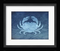 Gypsy Blue Cyanotype V4 Framed Print