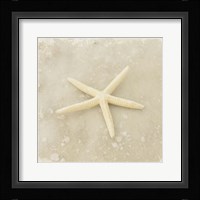 Gypsy Sea Brown 3 Fine Art Print