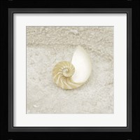 Gypsy Sea Life 1 Framed Print