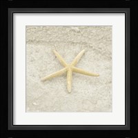 Gypsy Sea Life 3 Framed Print