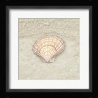 Gypsy Sea Life 4 Framed Print