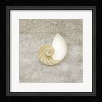 Gypsy Sea Life V1 Framed Print
