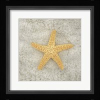 Gypsy Sea Life V2 Fine Art Print