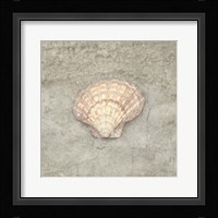 Gypsy Sea Life V3 Framed Print