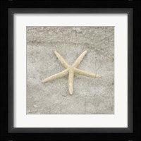 Gypsy Sea Life V4 Fine Art Print