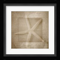 Sea Life 1 Fine Art Print