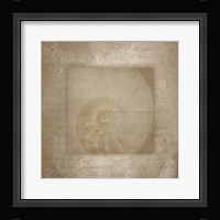 Sea Life 2 Framed Print