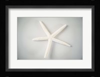 Sea Star 1 Fine Art Print