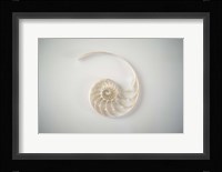 Sea Star 2 Framed Print