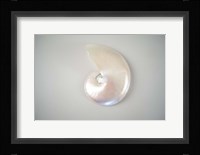 Sea Star 3 Framed Print