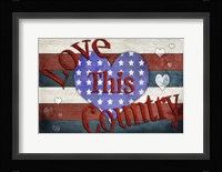 American Freedom Collection 2 Framed Print