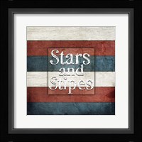 American Freedom Collection 7 Framed Print