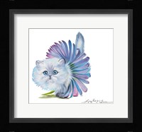 Kitten Ballerina Daisy Flower Stare Persian Cat Fine Art Print