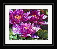 Triumvirate Fine Art Print