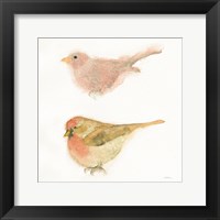 Watercolor Birds II Sq Fine Art Print