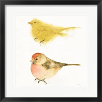 Watercolor Birds I Sq Fine Art Print