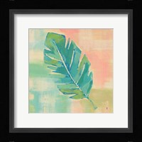 Beach Cove Leaves III Framed Print