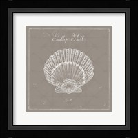 Underwater Life XV Greige Framed Print