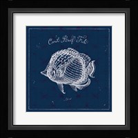 Underwater Life XIV Framed Print