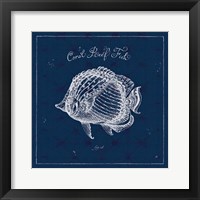 Underwater Life XIV Framed Print