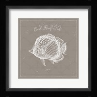 Underwater Life XIV Greige Framed Print