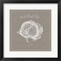 Underwater Life XIV Greige Fine Art Print