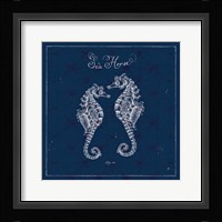 Underwater Life XIII Framed Print