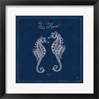 Underwater Life XIII Framed Print