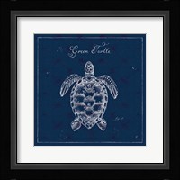 Underwater Life XVI Framed Print