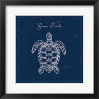 Underwater Life XVI Framed Print