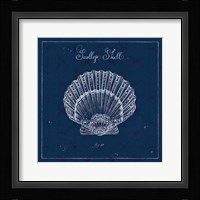 Underwater Life XV Framed Print