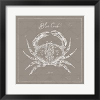 Underwater Life XII Greige Fine Art Print