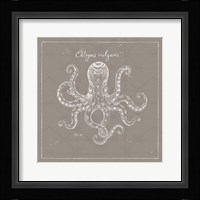 Underwater Life XI Greige Framed Print