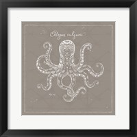 Underwater Life XI Greige Fine Art Print