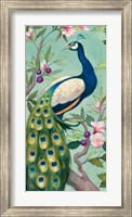Pretty Peacock II Fine Art Print