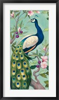 Pretty Peacock II Fine Art Print