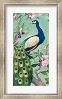 Pretty Peacock II Fine Art Print