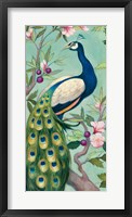 Pretty Peacock II Fine Art Print