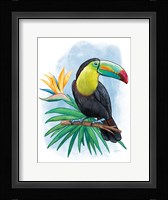Tropical Flair IV Framed Print