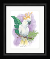 Tropical Flair III Framed Print