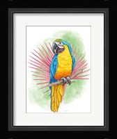 Tropical Flair I Framed Print